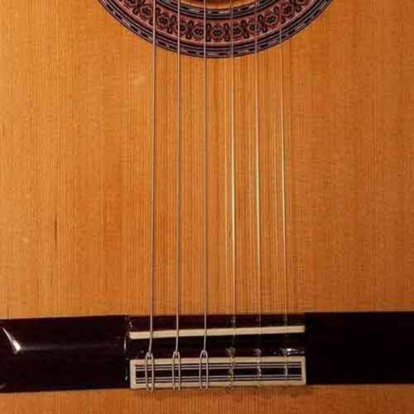 گیتار کلاسیک آلمانزا Almansa مدل 403 CW آکبند