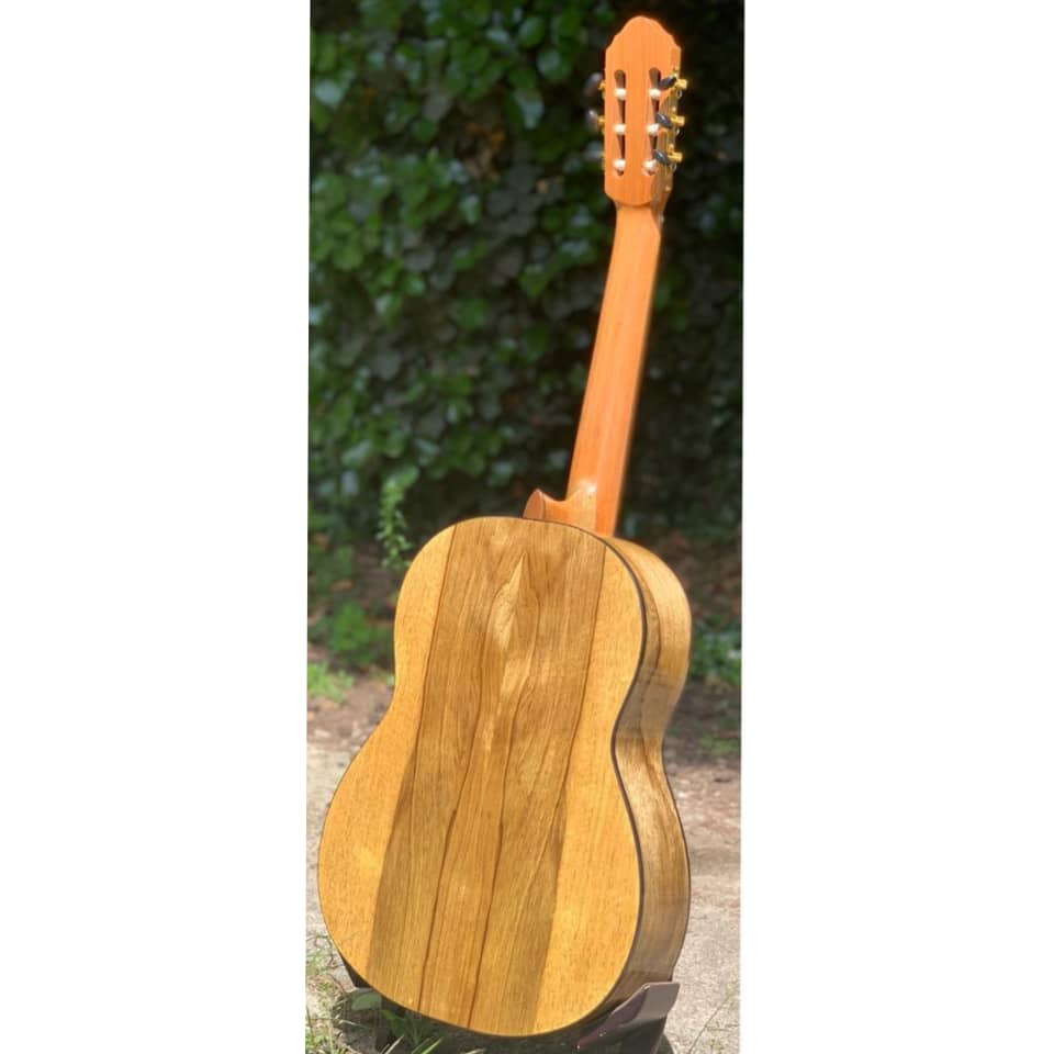 گیتار کلاسیک تمام چوب دریمی مدل dreamy C3 آکبند
