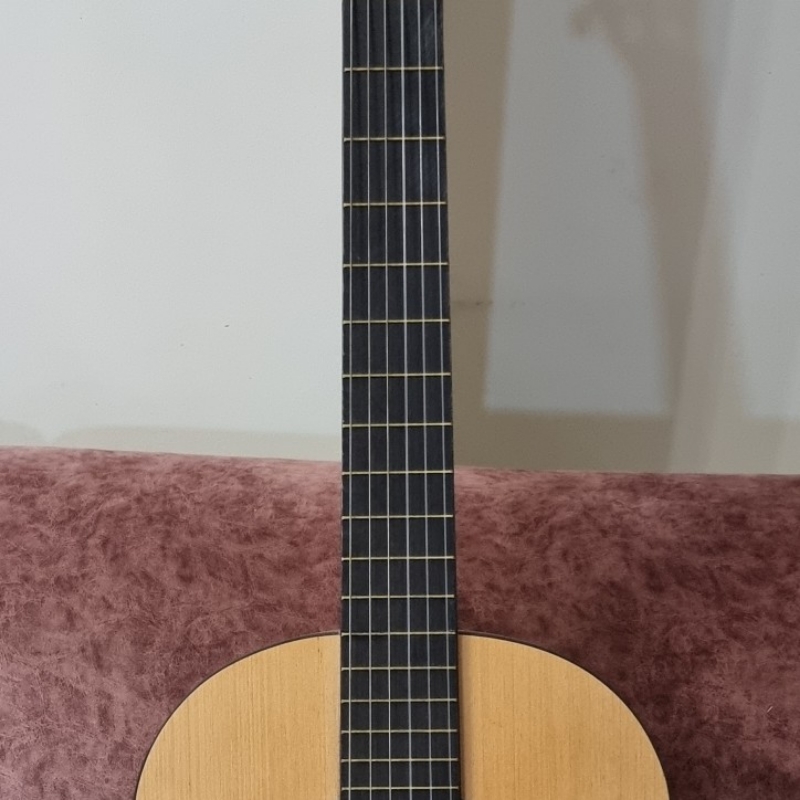 گیتار کلاسیک پارسی c7