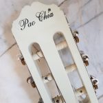 گیتار pao chia کاملا نو با تجهیزات