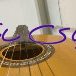 گیتار خوان آلوارز – JUAN ALVAREZ 198