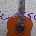 گیتار c70