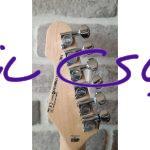 گیتار الکتریک ال تی دی مدل LTD sn_200 آکبند