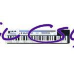 پیانو دیجیتال کاسیو Casio Px-5s آکبند