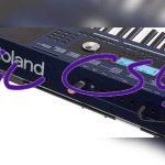 کیبورد رولند مدل Roland EX 30 آکبند