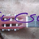 گیتار هوهنر HCO6