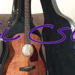 گیتار آکوستیک آیبانز
