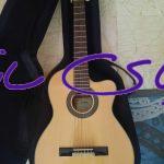 گیتار ak30ce فروش فوری