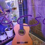 گیتار فلامنکو بروس Francisco Bros flamenco guitar